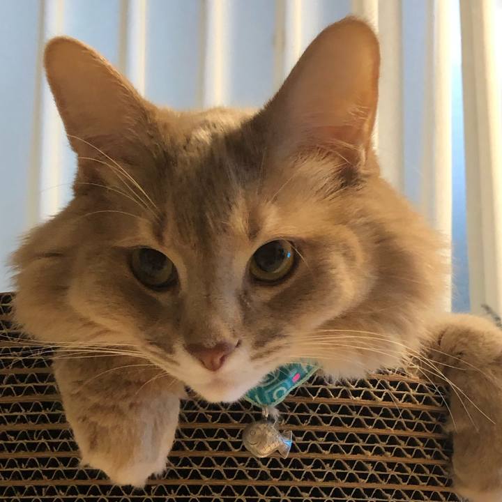 Ad7b55a5 5345 4167 983f c1f7ee51d0dd 1636774765458