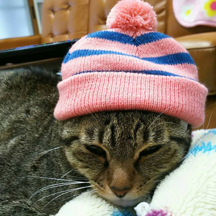 Ad7b6a29 32a7 4e7b 8f3e 2495878ce3d9 1513870134573