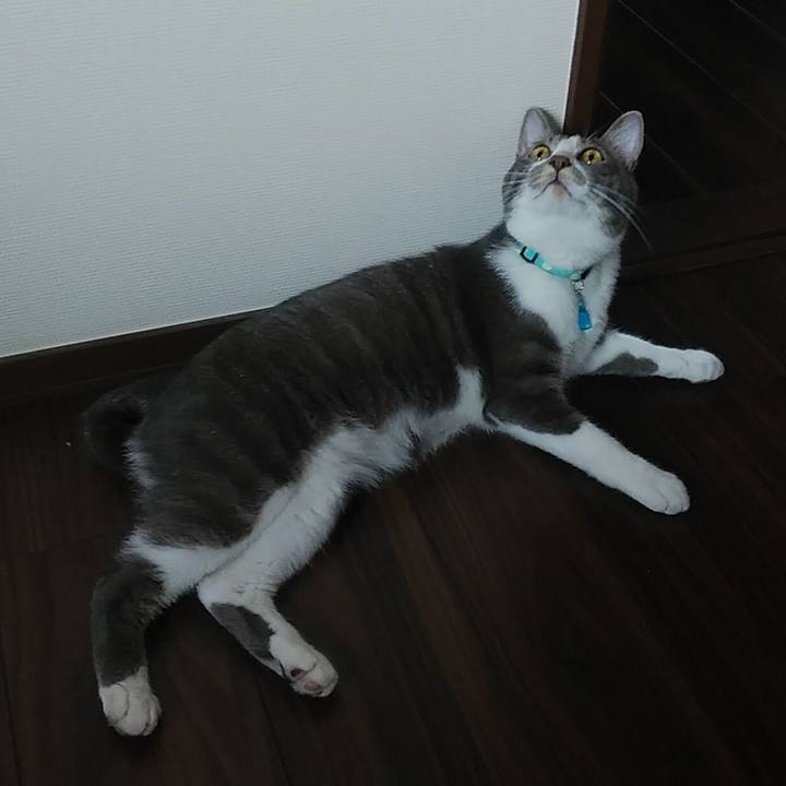 Ad7baaf9 e040 4559 813d 9f03c620a746 1591049803649