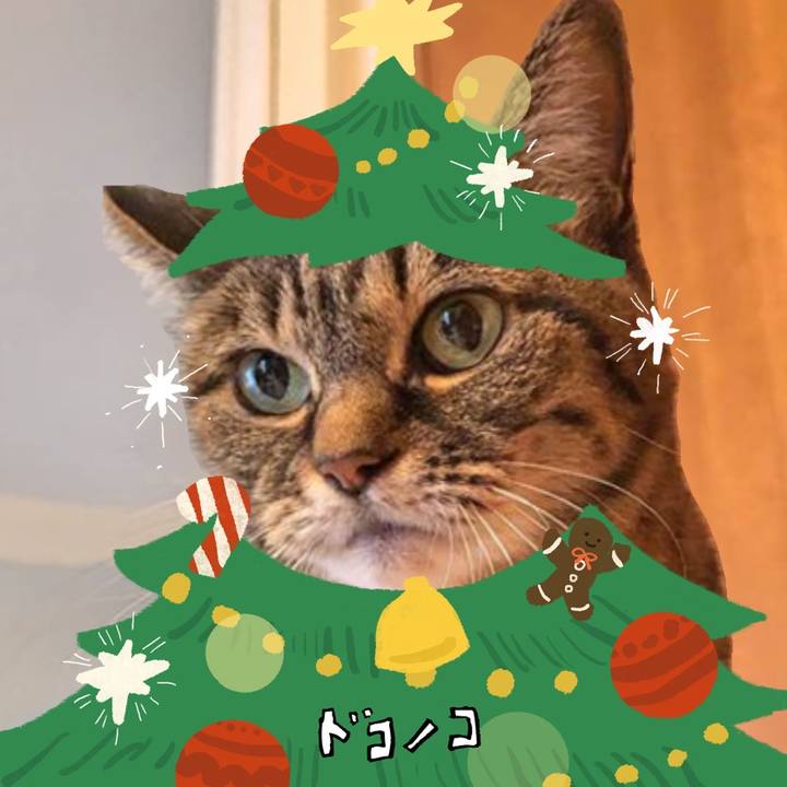 Ad7bdf8f 3994 4b39 ade1 362072baa695 1764194168810