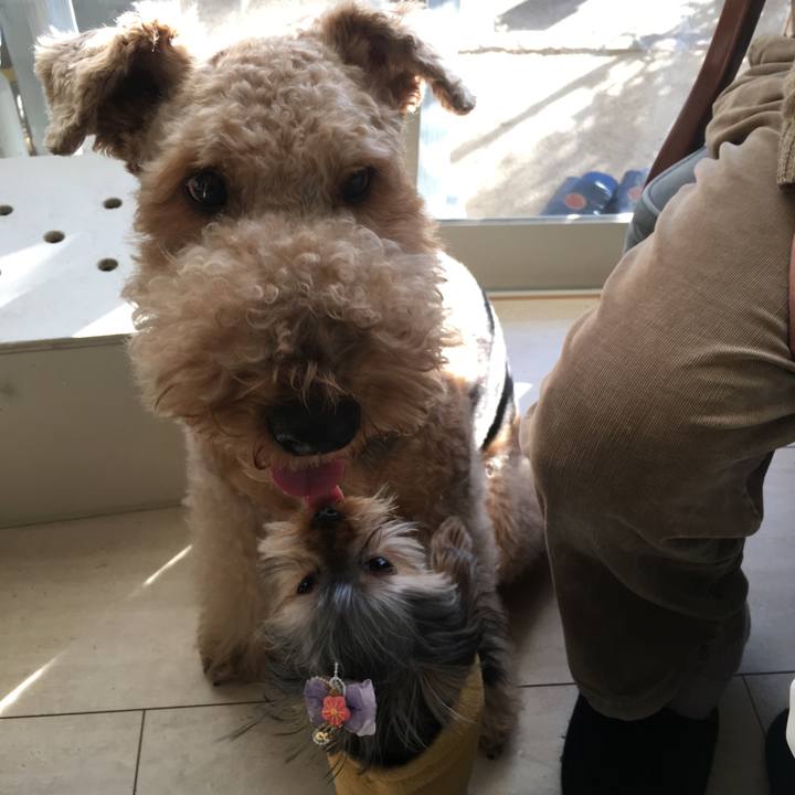 Ad7bea39 6d8b 493c b819 cdf7605c52c1 1545653936824