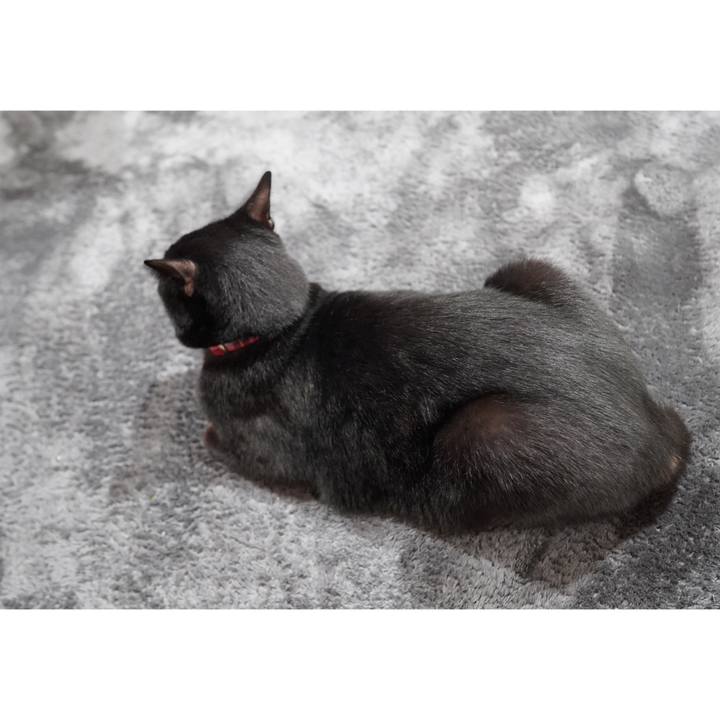 Ad7c12a2 9990 41fb 8753 e35105a5cbda 1604984290554