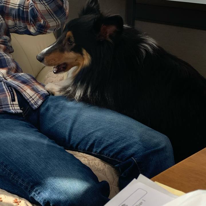 Ad7c37db b6fd 4f08 b1da eb0408c11e19 1587854205251