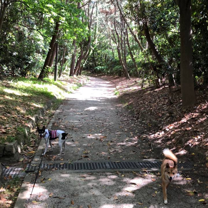 Ad7c77cb a6eb 42ab 9eeb 17deab5b784b 1526808374821