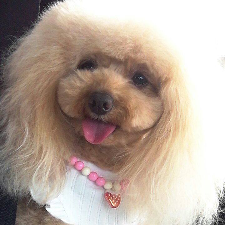 Ad7cbe2d 3f75 44a7 a340 035fe9e61f2b 1555847434449