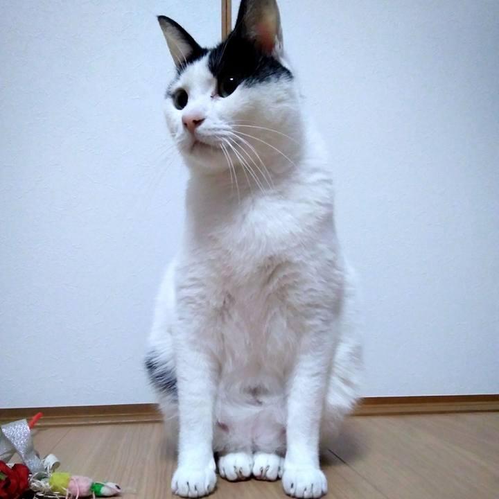 Ad7cdf23 93ee 47b9 b2d6 41ff9c13d0f5 1545910664830