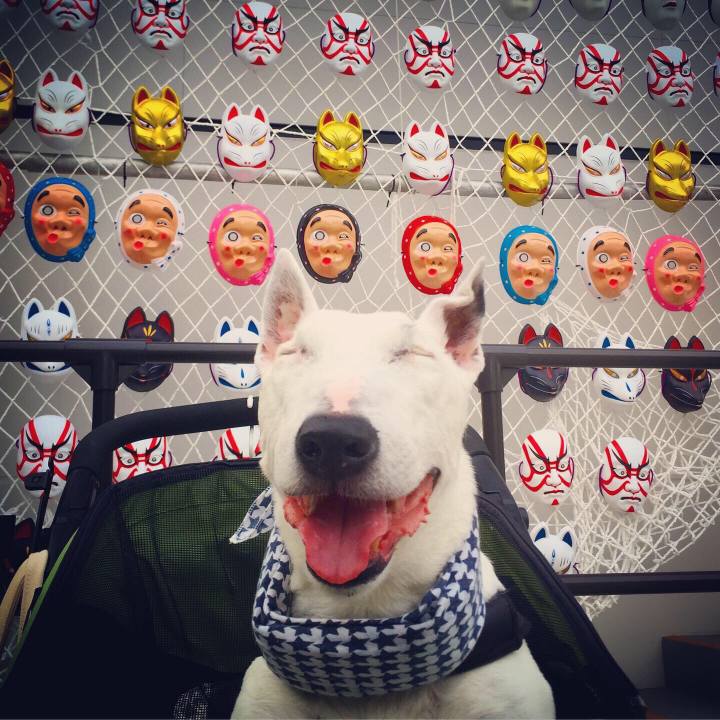 Ad7ce8a2 4a4b 4ba2 a307 ae6dea200f30 1563454004719