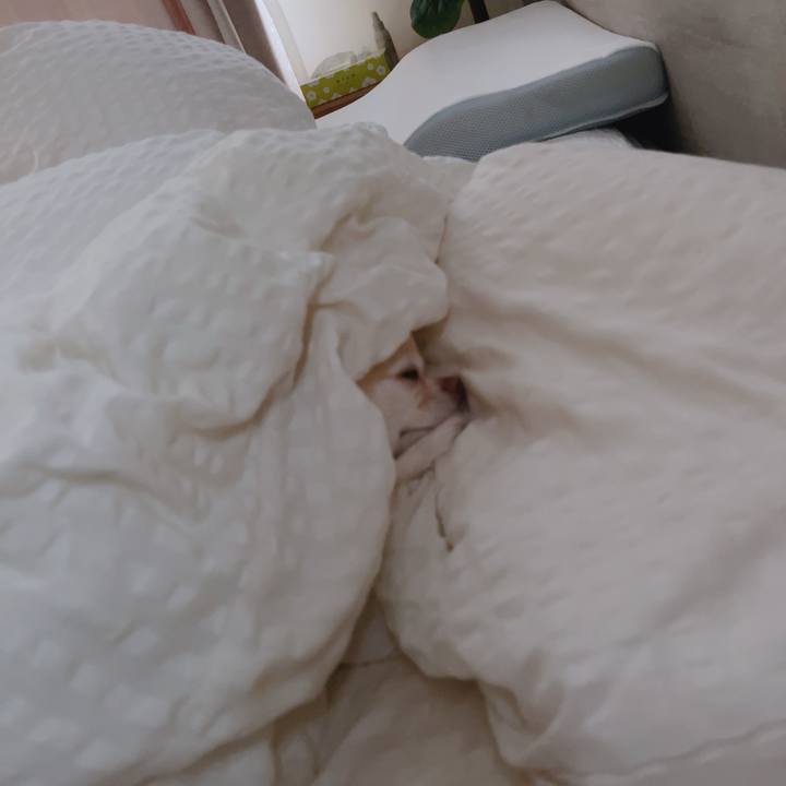 Ad7d0fe2 249b 48a9 b7c0 a1d48d688acc 1761900274208