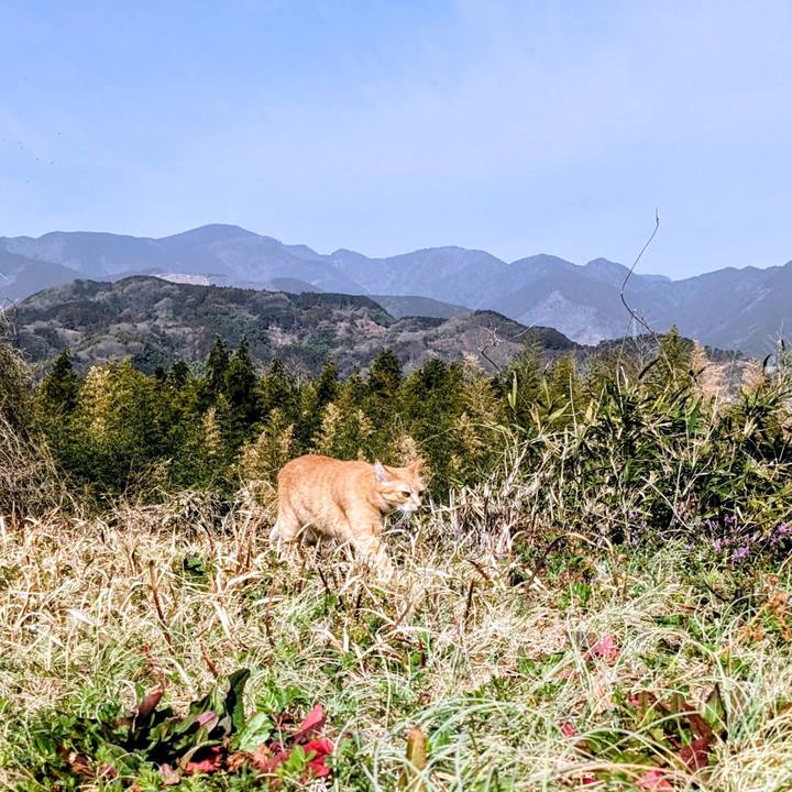 Ad7d2af1 26f0 4ebb 944d 1917a85b5d03 1771857722150