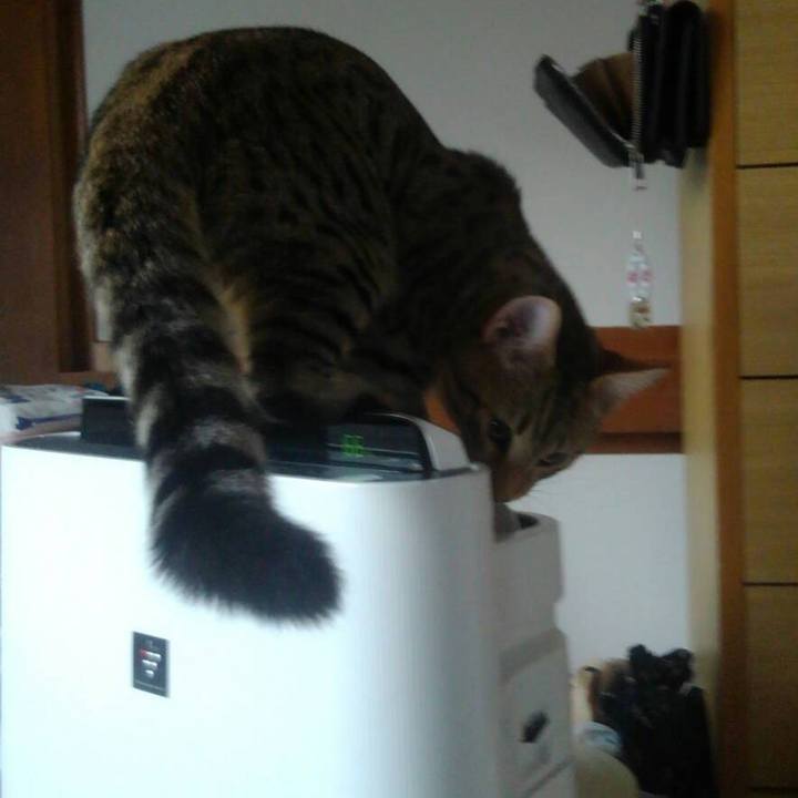 Ad7d2c2f 0566 408e ac14 9590909b7609 1568357746159