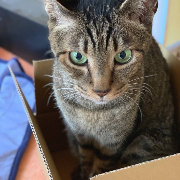 Ad7d45e8 44e3 4558 9bb6 295ed7d17e4a 1558228604525