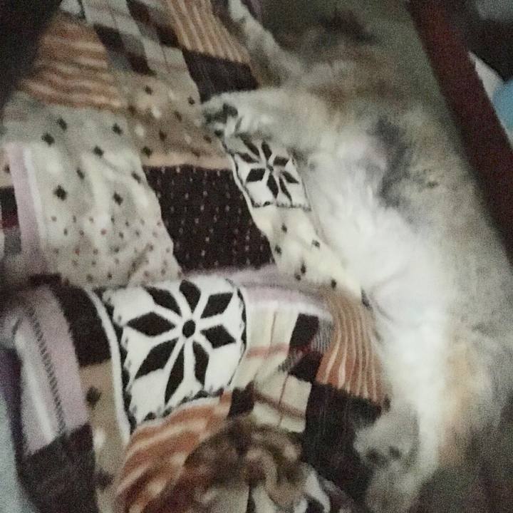 Ad7d80a6 b17a 4a00 b70e d6df45d55090 1593912401521