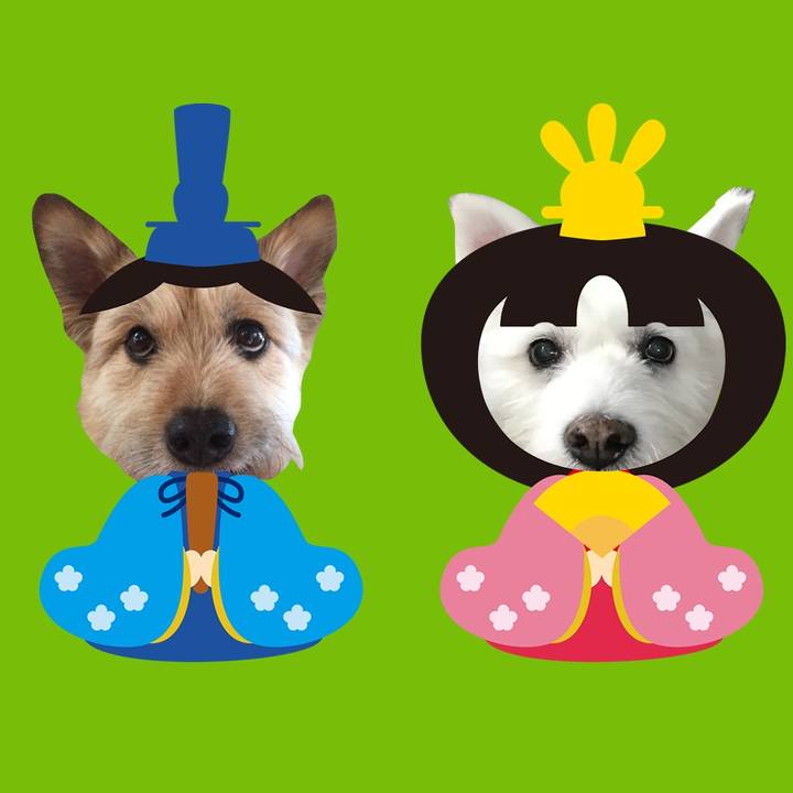 Ad7d8cae c5fc 4fe7 9ba1 120f4d753349 1772496789686