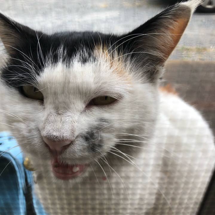 Ad7da44e b4ff 4097 be4b 06a2b30f4e3e 1605530865755