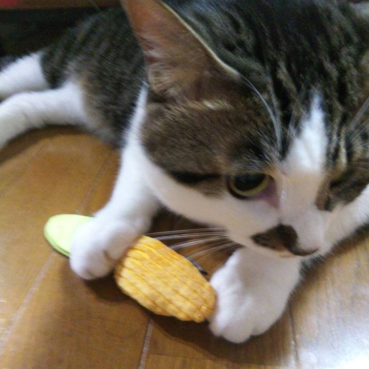 Ad7de31d ae89 410c a271 52cd83090791 1663544474673