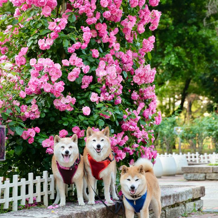 Ad7de5b6 6527 4b20 a028 4b2def205c90 1747488355050