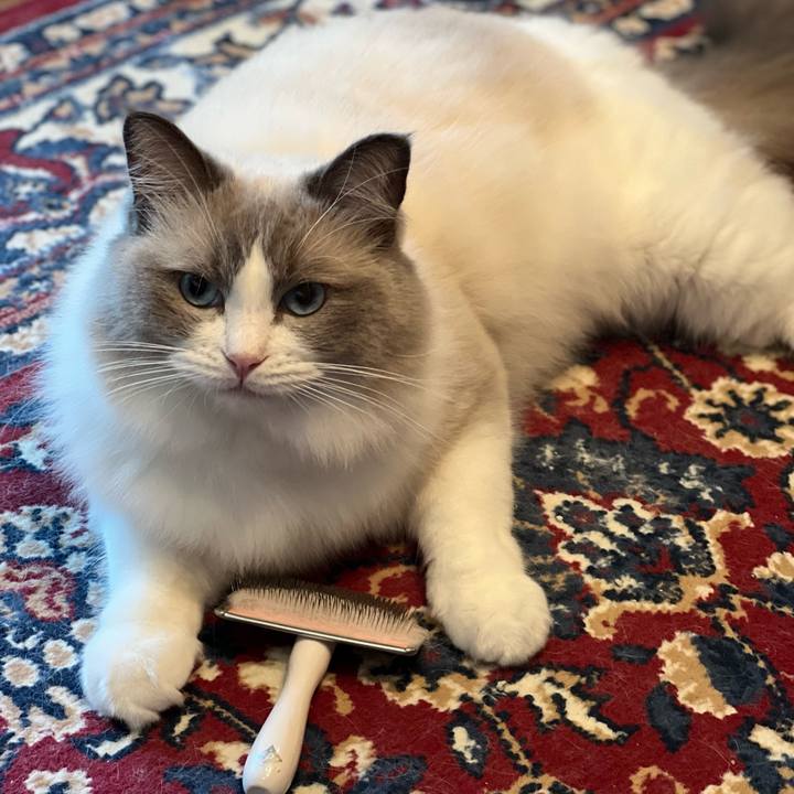 Ad7e0d68 f2dc 4b84 8fb7 cc59d129c4a1 1658715119802