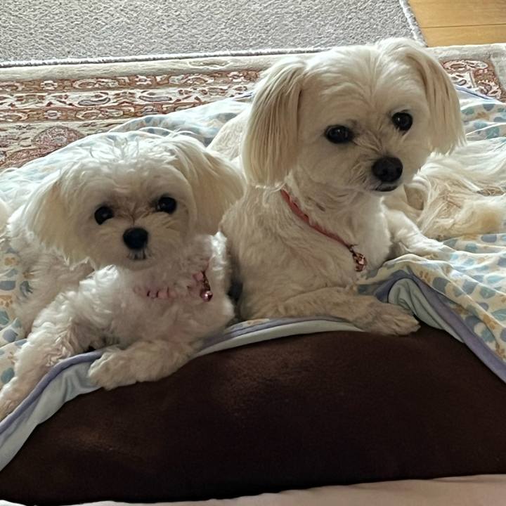 Ad7e1c01 b7db 457f 9a87 e9f9958c183f 1722067706275