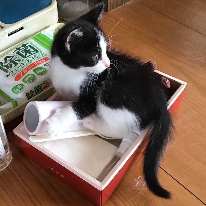 Ad7e383a 9ffe 4360 85d6 bc9a4e0030df 1623308491917