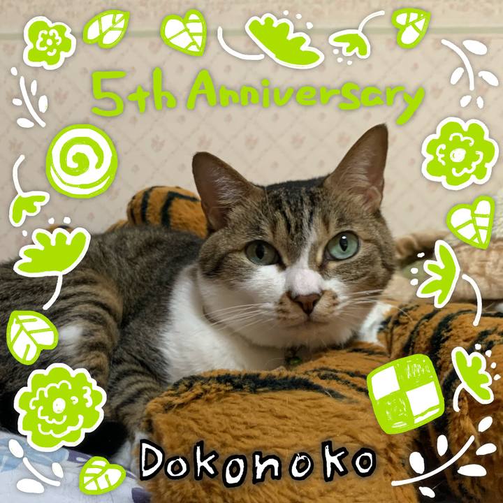 Ad7e3a7a 345a 446c 9fc7 881e8e8539cd 1622911996294