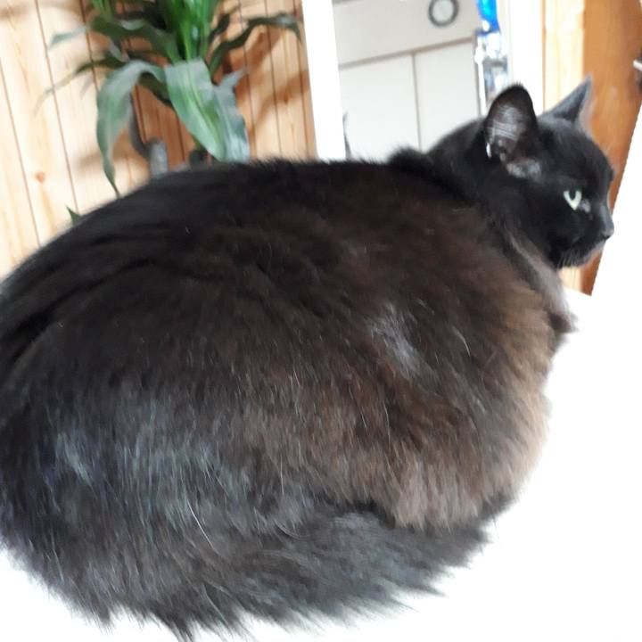 Ad7e8b1f e98c 4499 9859 a379304b6f34 1518818695763