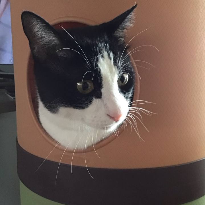 Ad7ef875 4890 4012 a032 d937e8fd57c9 1693200336512