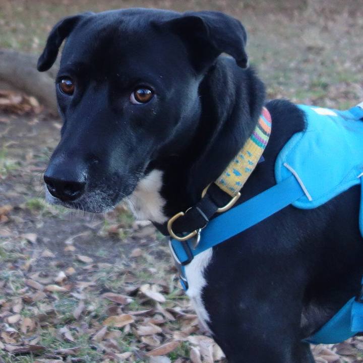 Ad7f30c4 bc2c 4cdd 8f2c 0fcdd38315d3 1608683261176