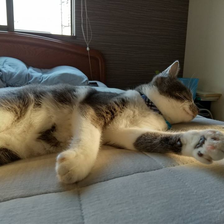 Ad7f9b09 52b4 443e 8bbd 6bdd5ab36933 1601677742186