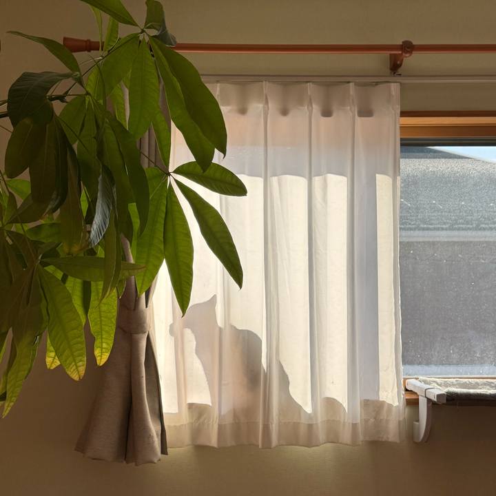 Ad7fb11f dc1a 4132 abc3 c82407e0635b 1762224292150