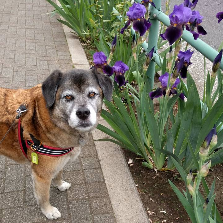 Ad7fcf5a 5cf0 4a4b b64a 2a4cb6a49791 1524531064945