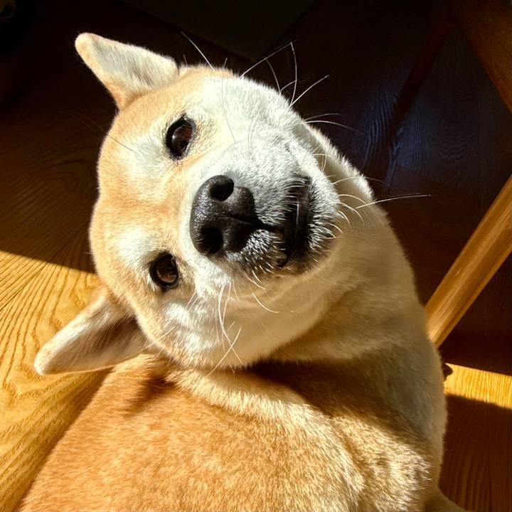 Ad7fcf60 8727 445a 84cf 69273425d608 1763775594502