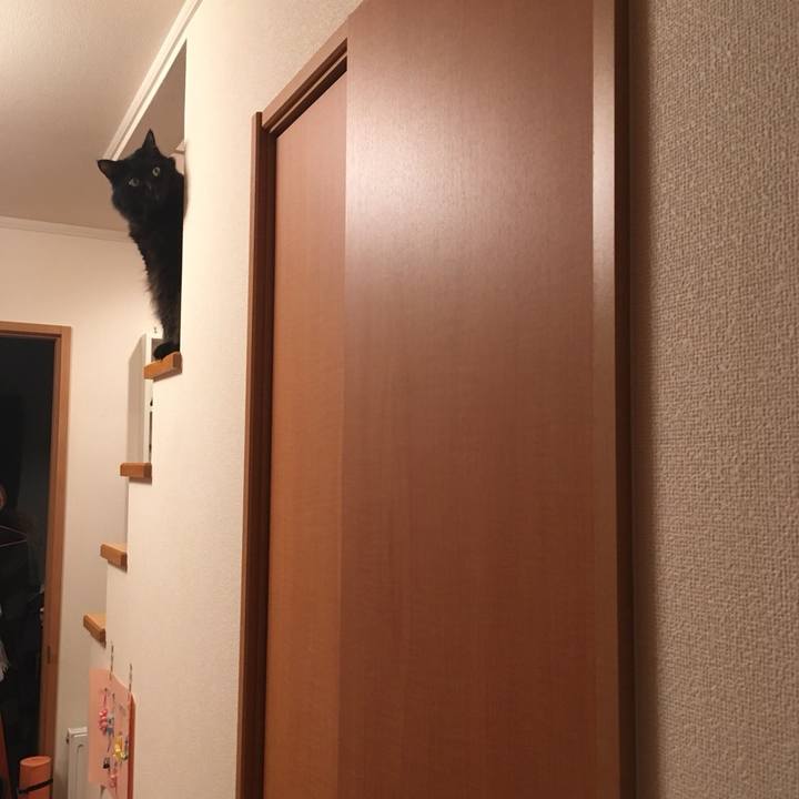 Ad7fdd53 9789 4ec7 9061 eb4e3a3ad411 1535026957245