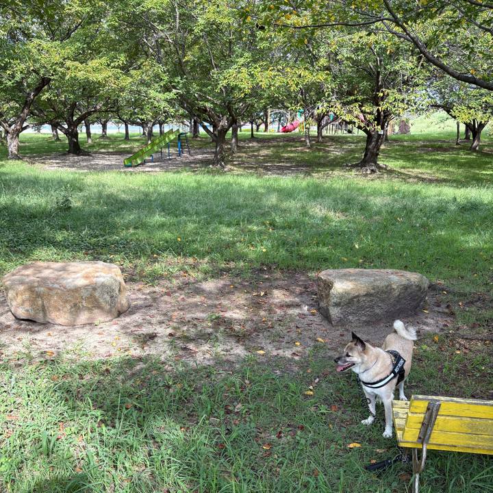 Ad7fe03e 7943 416b 81c8 7febc3b6d934 1757236147679