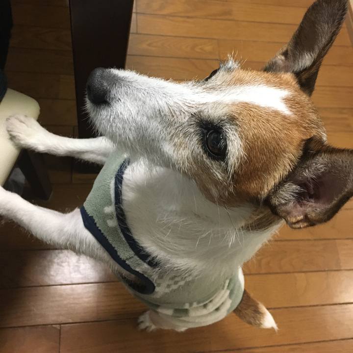 Ad800473 d222 4af9 aafe 976c348dddd3 1636586726326