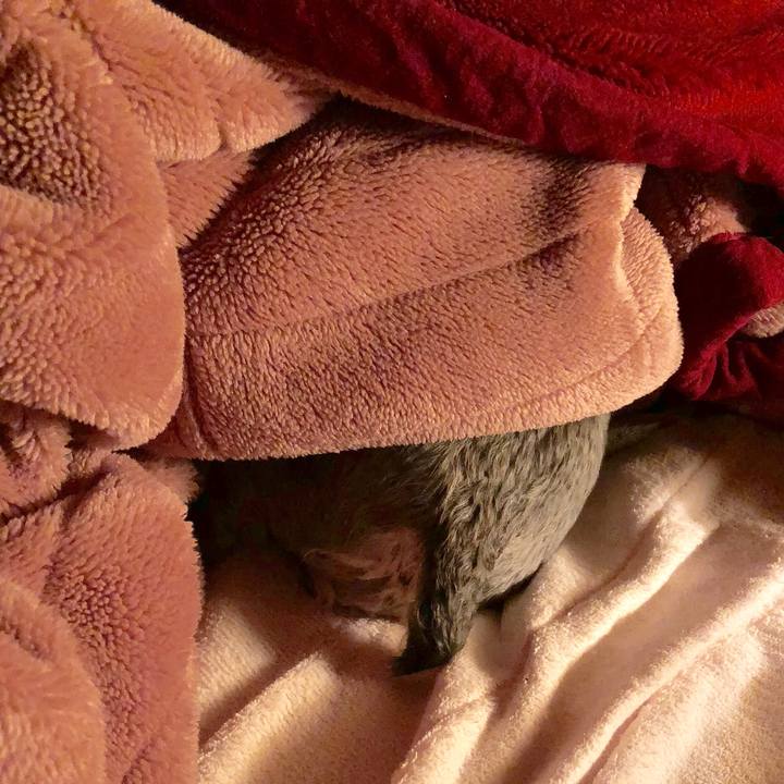 Ad803a53 d71e 4fc8 95d4 1cb514c1d55b 1514508337021