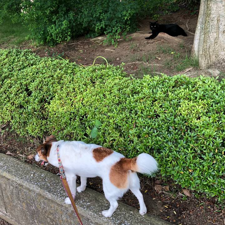 Ad804a1d 1b8e 4482 a9bc f3589d6a851e 1530577550944