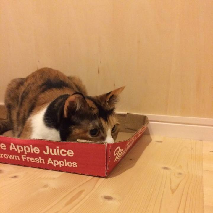 Ad8082f7 5a6c 4cf4 ad40 81d5289850bf 1508589397823