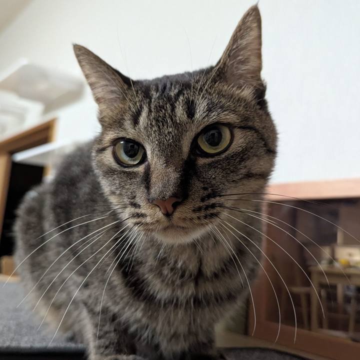 Ad80a968 ba80 40a6 a4fd da65fbe6c108 1768142262942