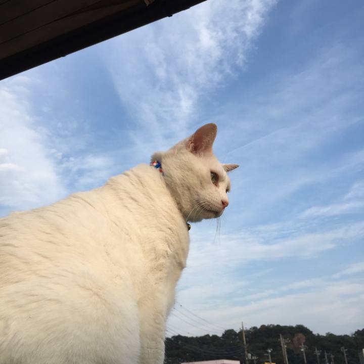 Ad80aaac 802d 4119 b465 7f9fa5ce62e2 1569746578968