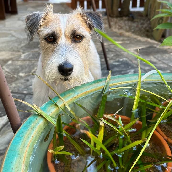 Ad80d067 3ce5 43fd bd28 302de1777ded 1693360239172