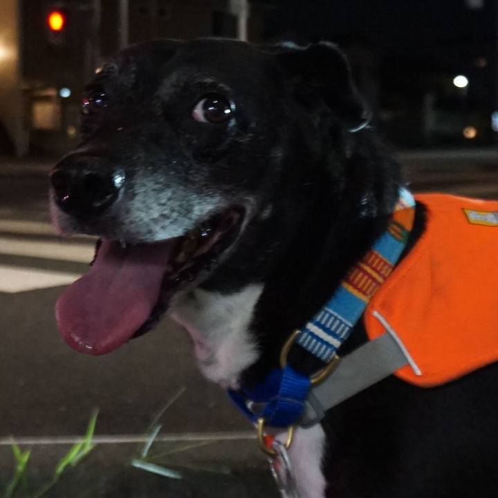 Ad80e0b5 d804 444a b010 d205a8076a02 1756725330702