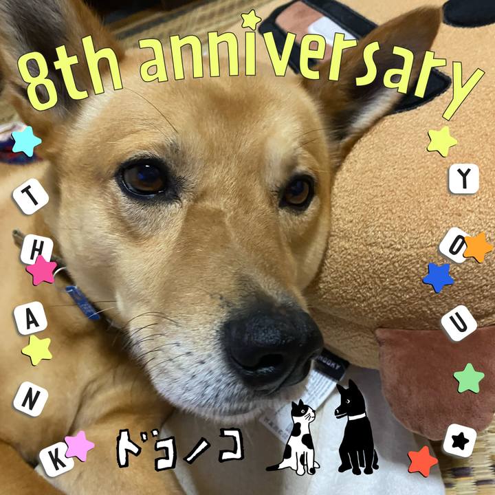 Ad811ddc 973c 470a 853f e9dc9a757434 1718370092103