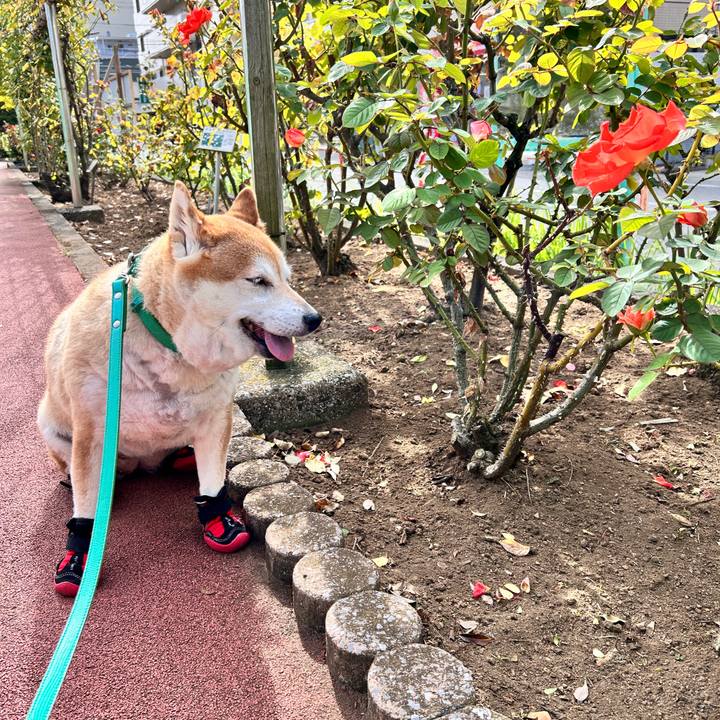 Ad814863 4f57 4f12 95a9 a88a95ef4763 1729479383952