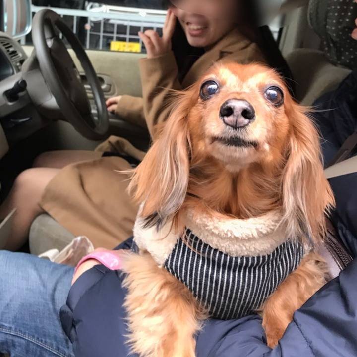 Ad815f02 4484 479d aa6a ddb097842fa3 1544932185427