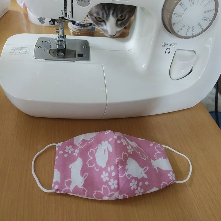 Ad8172fb 3d71 4f2f aabf 718800e9fc9e 1590123724092