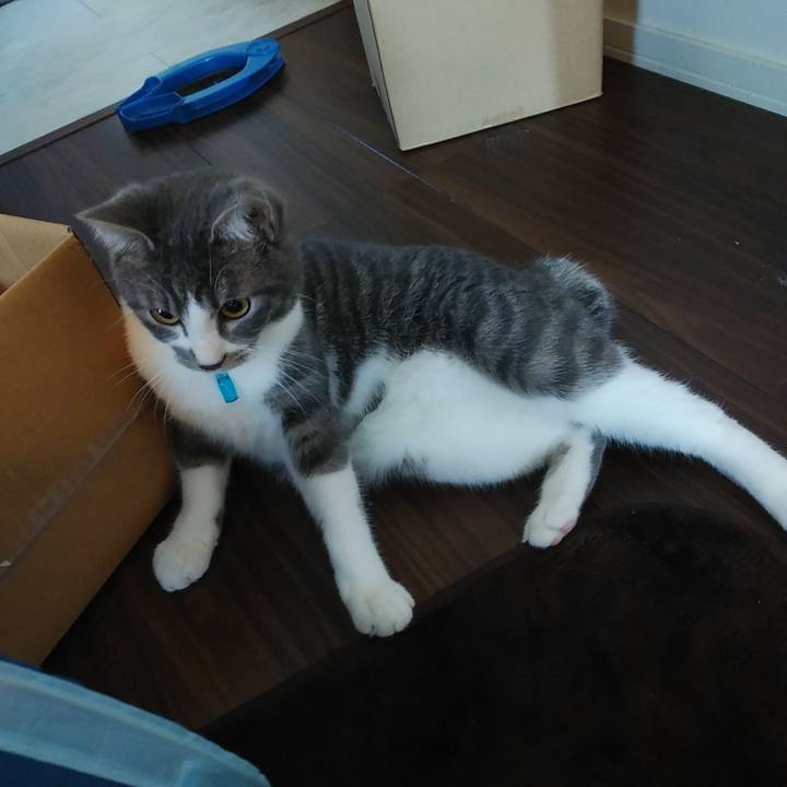 Ad8190c3 2883 43dd afb7 316e612cc694 1578094180767