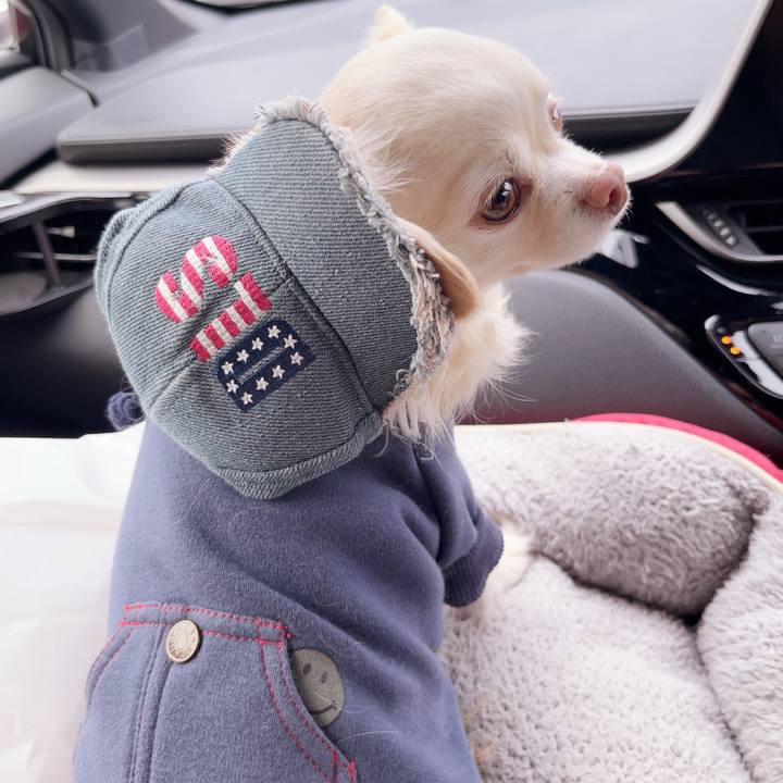 Ad8196d3 4f85 4403 a654 1a6db6647986 1741412339365