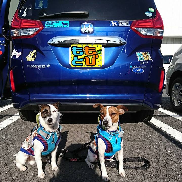 Ad81bbca f571 4721 abc3 420eb4e05b7f 1555712625539