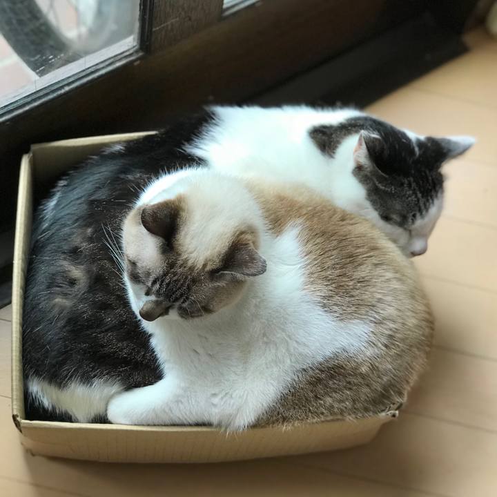 Ad823b17 04d9 4347 9168 e84b93186a3f 1522981981982