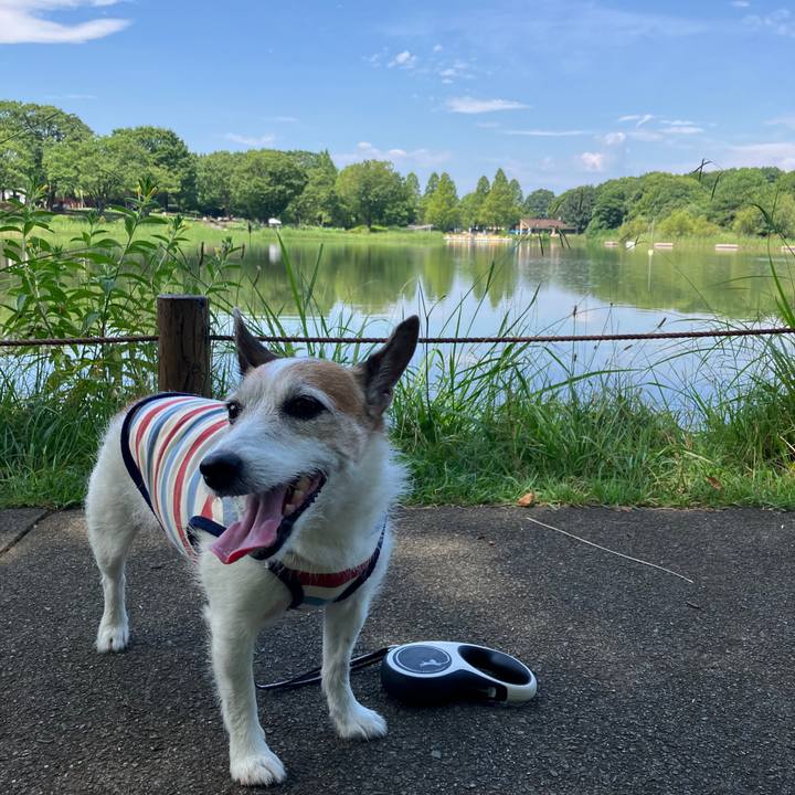 Ad824cae adc4 4014 be14 037ffbe196da 1721523298775